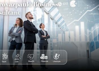 Pedrovazpaulo Business Consultant